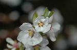 Dcim5835/DSC_0609