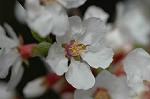 Dcim5835/DSC_0616