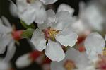 Dcim5835/DSC_0617