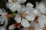 Dcim5835/DSC_0618
