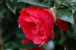 Dcim5836/DSC_0641
