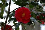 Dcim5836/DSC_0643