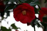 Dcim5836/DSC_0644