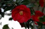 Dcim5836/DSC_0645