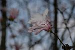 Dcim5836/DSC_0646