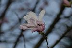 Dcim5836/DSC_0647