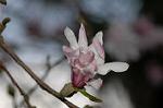 Dcim5836/DSC_0648