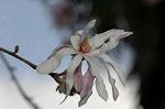 Dcim5836/DSC_0654