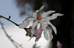 Dcim5836/DSC_0655