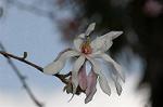 Dcim5836/DSC_0656