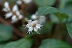 Dcim5836/DSC_0678