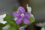 Dcim5836/DSC_0708