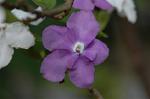 Dcim5836/DSC_0709