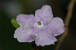 Dcim5836/DSC_0710