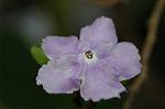 Dcim5836/DSC_0711
