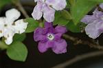 Dcim5836/DSC_0712