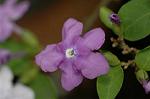 Dcim5836/DSC_0714