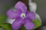 Dcim5836/DSC_0715
