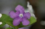Dcim5836/DSC_0716
