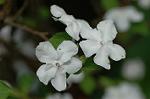 Dcim5836/DSC_0717