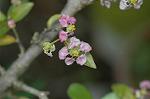 Dcim5836/DSC_0724