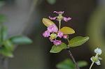 Dcim5836/DSC_0725