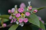 Dcim5836/DSC_0728