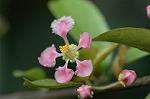 Dcim5837/DSC_0729