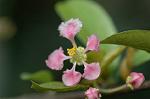 Dcim5837/DSC_0730