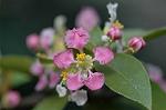 Dcim5837/DSC_0731