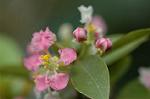 Dcim5837/DSC_0733