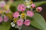 Dcim5837/DSC_0734