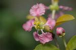 Dcim5837/DSC_0735