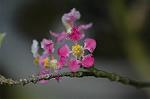 Dcim5837/DSC_0736