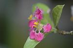 Dcim5837/DSC_0739
