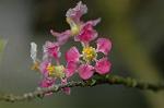 Dcim5837/DSC_0740
