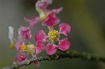 Dcim5837/DSC_0741