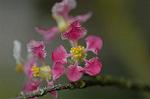 Dcim5837/DSC_0742