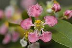 Dcim5837/DSC_0743