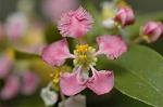 Dcim5837/DSC_0745