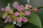 Dcim5837/DSC_0746
