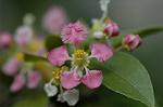 Dcim5837/DSC_0747