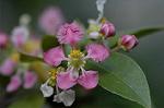 Dcim5837/DSC_0748
