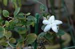 Dcim5837/DSC_0750