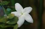 Dcim5837/DSC_0755