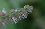 Dcim5837/DSC_0763