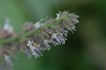 Dcim5837/DSC_0764