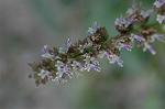 Dcim5837/DSC_0766