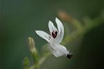 Dcim5837/DSC_0771