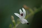 Dcim5837/DSC_0772